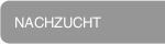 NACHZUCHT