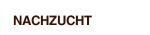 NACHZUCHT